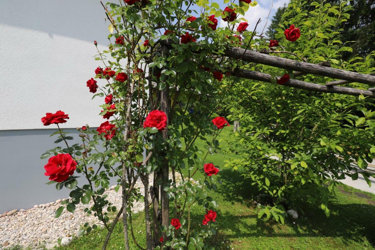 Adventure Cottage Bled Esterno foto